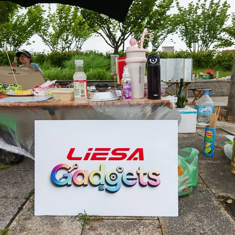 LIESA Gadgets realiza formação de equipe de acampamento ao ar livre para unir equipe para negócios globais de eletrodomésticos de limpeza